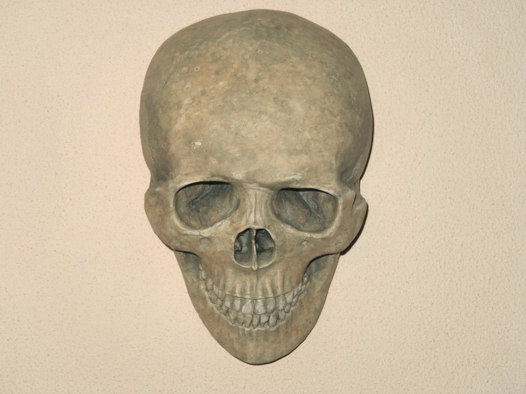 replica schedel mens voor aan de muur, menselijke skull deco, Verzenden, Zo goed als nieuw