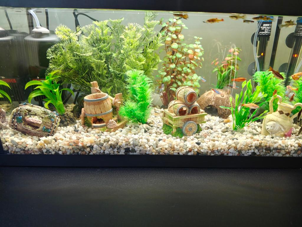 Aquarium Eheim, Ophalen, Nieuw, Gevuld zoetwateraquarium, Verwarming
