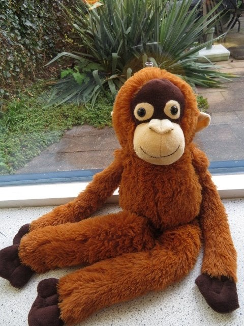 Orang Oetan aap merk Cuddle Crew meet ca 70 cm totaal, Overige typen, Ophalen of Verzenden, Zo goed als nieuw, Middelgroot (20 tot 80 cm)
