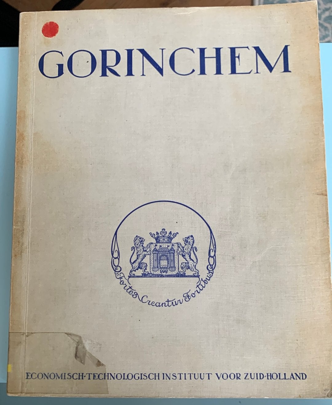 Rapport over Gorinchem  1980 210 pagina’s, Ophalen of Verzenden, 20e eeuw of later, Gelezen
