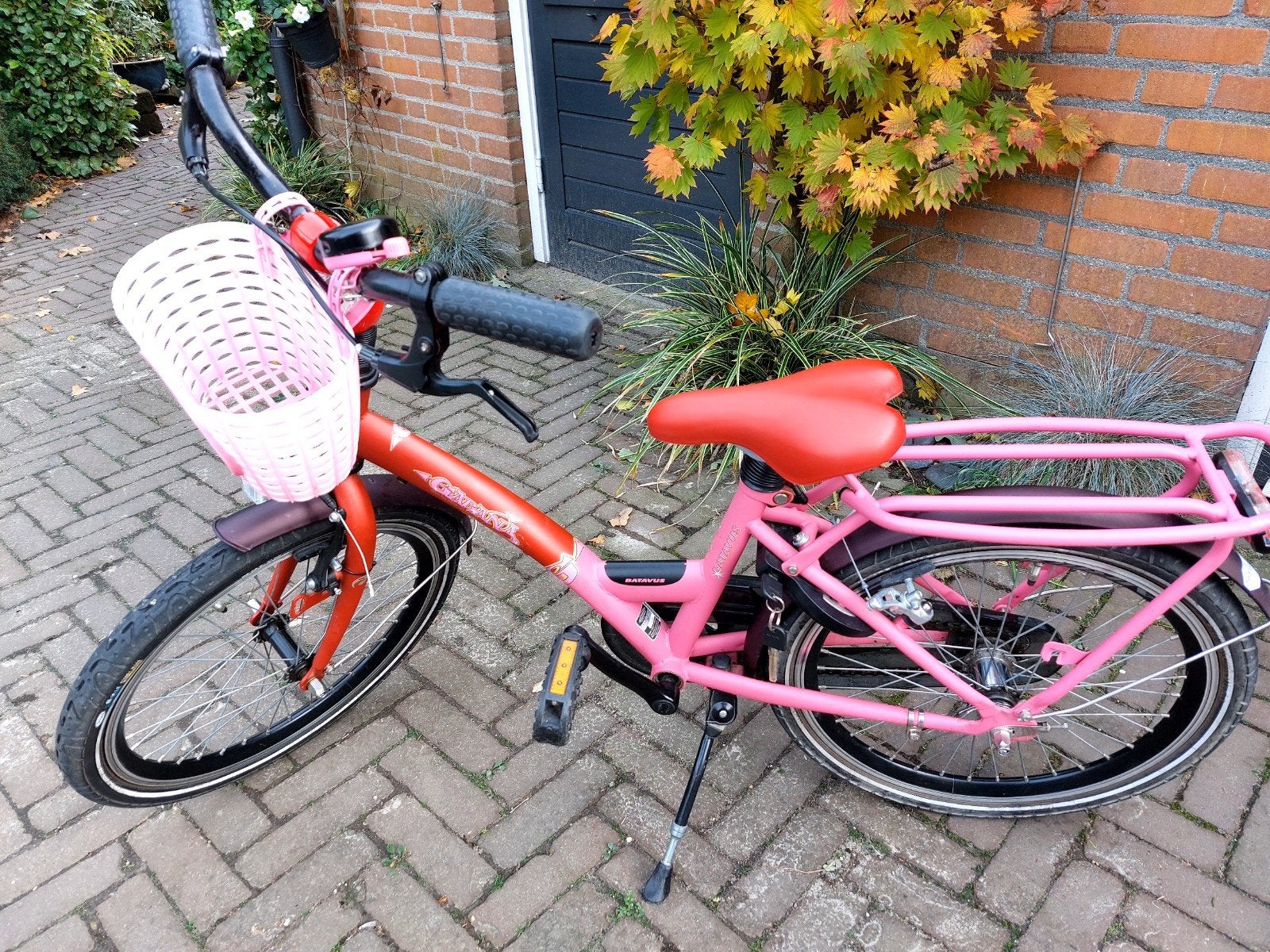 Meisjesfiets 20inch Batavus, Ophalen, Gebruikt, 20 inch