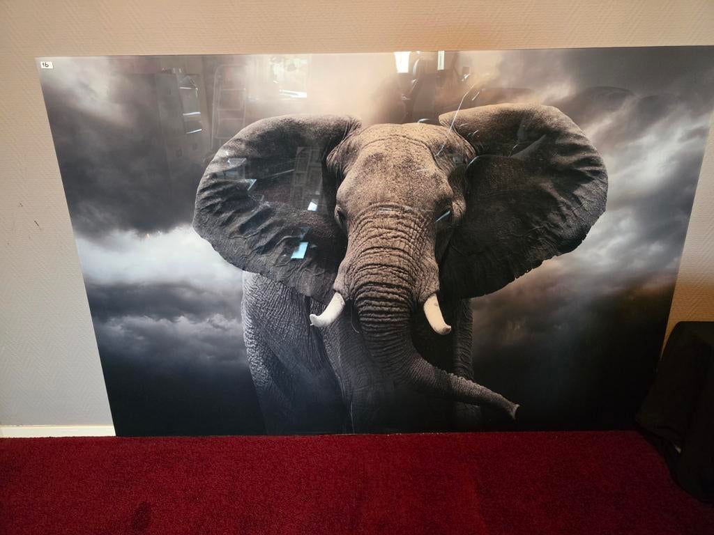 Groot schilderij van een olifant - indrukwekkend, Ophalen of Verzenden, Zo goed als nieuw, 75 tot 100 cm, Schilderij