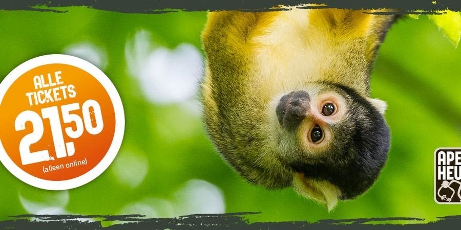 4 kaartjes voor apenheul, Twee personen, Ticket of Toegangskaart