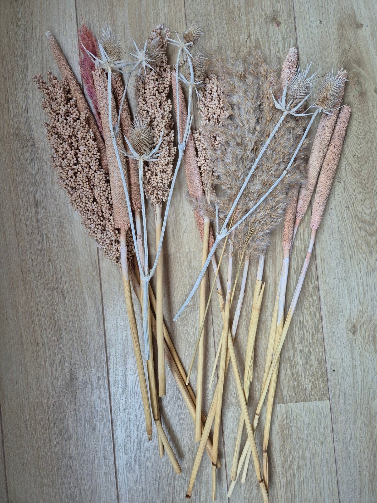 Gedroogde takken/bloemen, Huis en Inrichting, Woonaccessoires | Droogbloemen, Ophalen