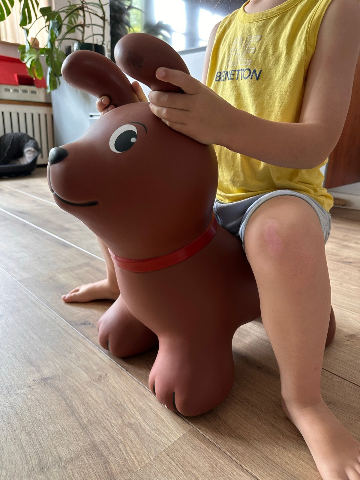 Opblaasbare hond springdier voor kinderen, Ophalen of Verzenden, Gebruikt, Jongen of Meisje