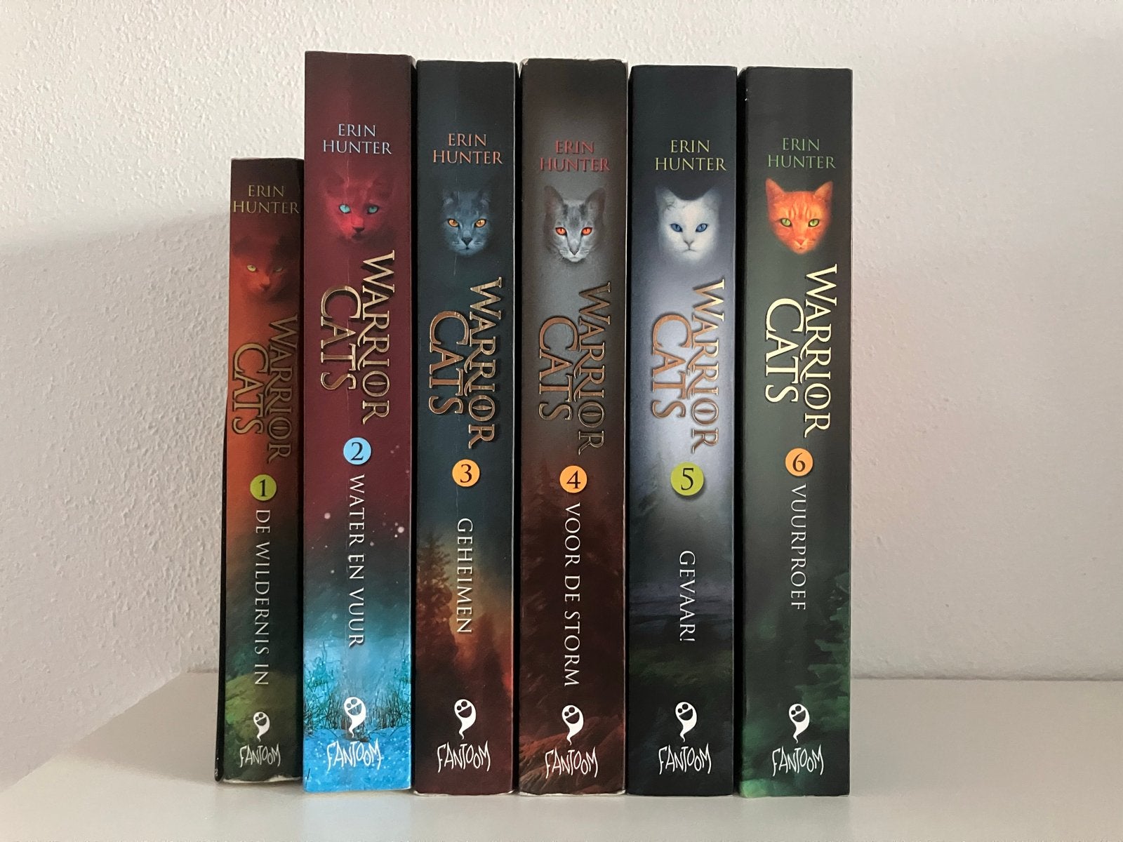 Warrior Cats boekenreeks - Deel 1 t/m 6, Ophalen of Verzenden, Gelezen, Nederland
