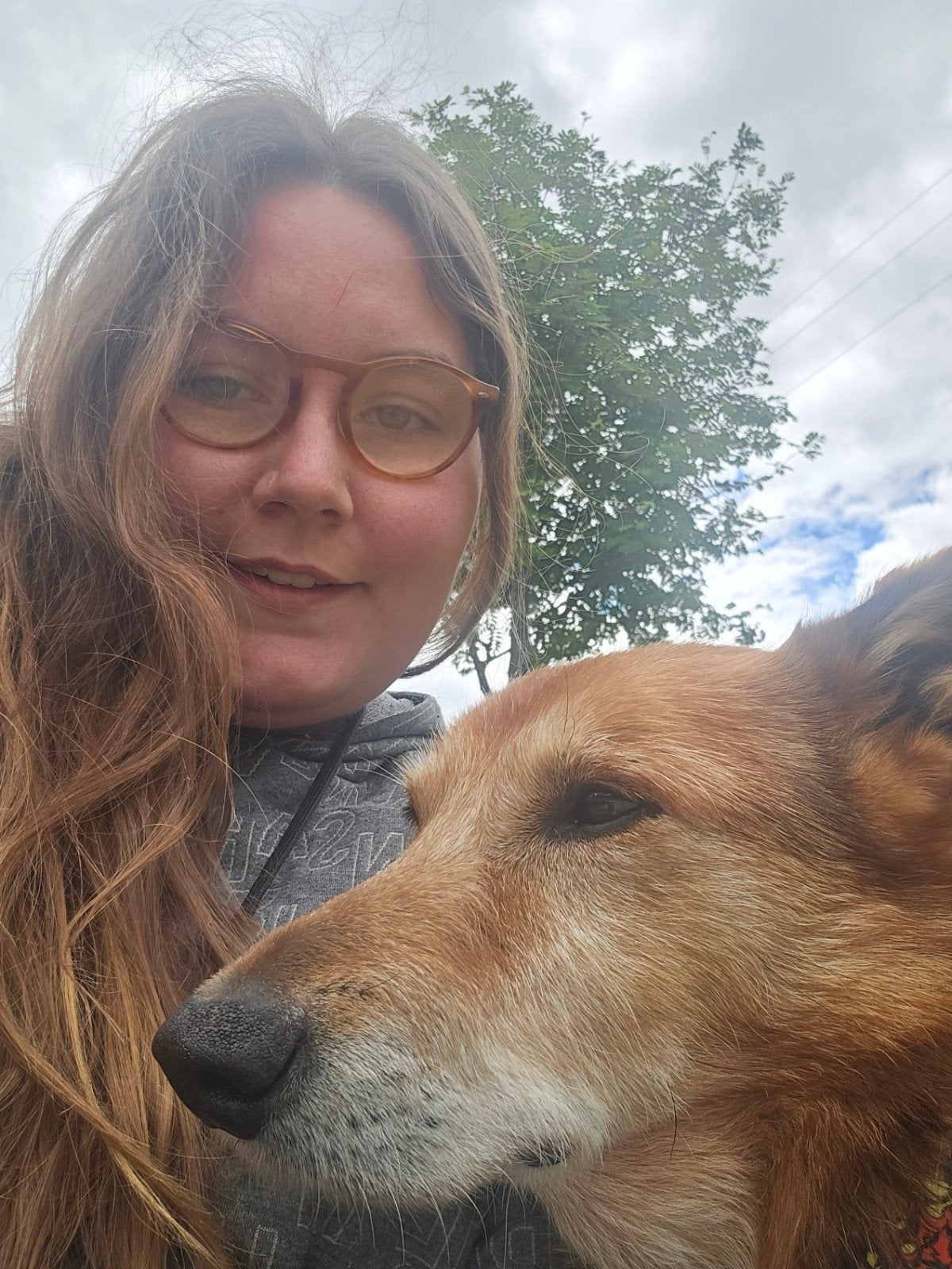 honden uitlaten, Ophalen of Verzenden