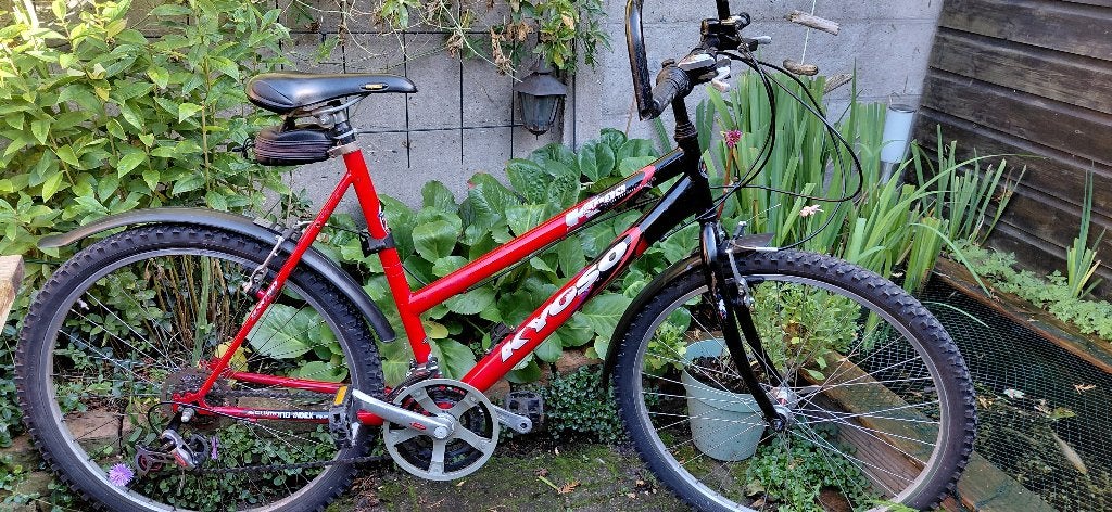 Te koop Mountainbike, Fietsen en Brommers, Gebruikt, Velgrem, Dames, Geen vering
