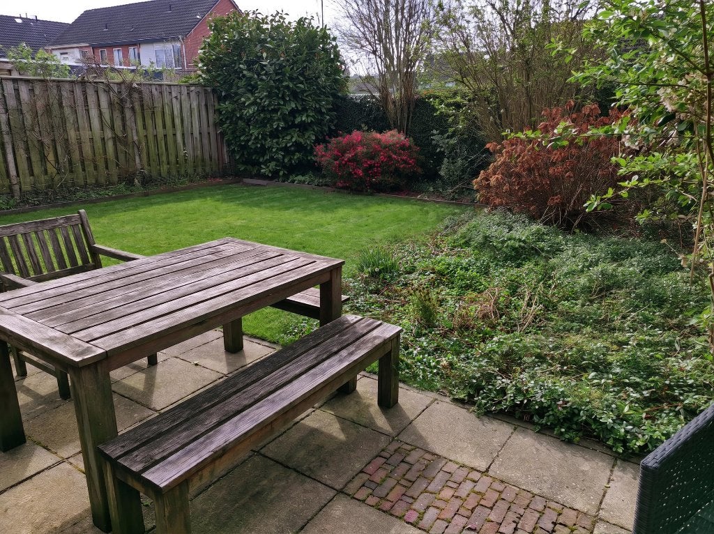 Tuinman gezocht? Snoeien, Maaien, Onkruid Verwijderen, Tuinonderhoud of Snoeiwerk