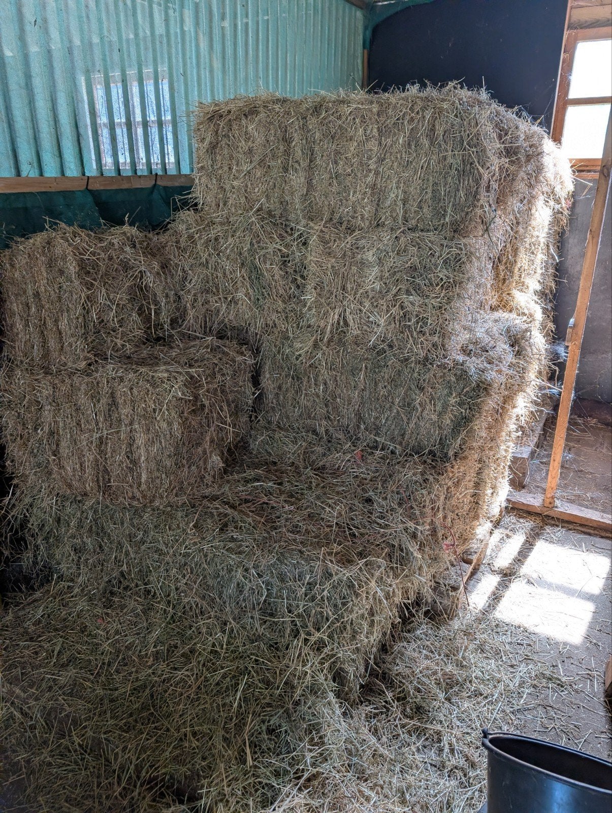 Kleine hooi balen te koop, Ophalen, Vee