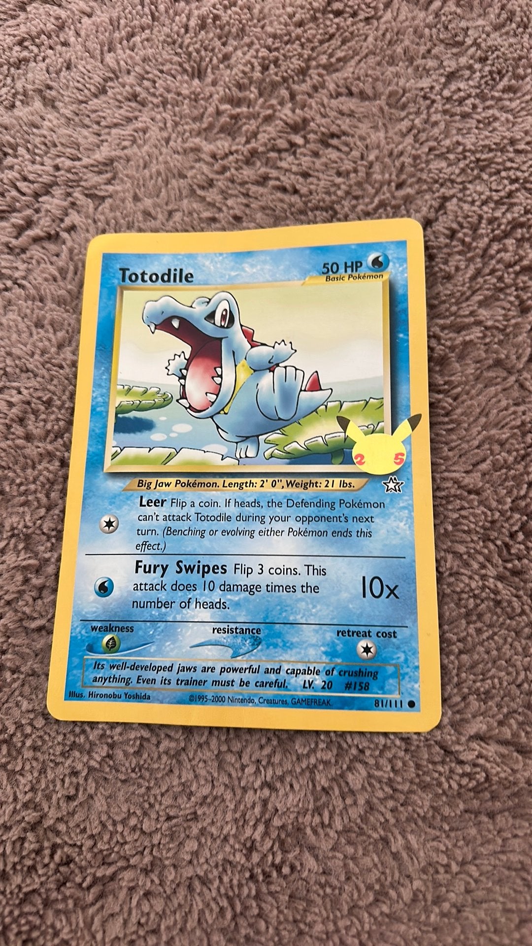 Groten Pokemonkaard uit 2000, Hobby en Vrije tijd, Ophalen of Verzenden, Nieuw