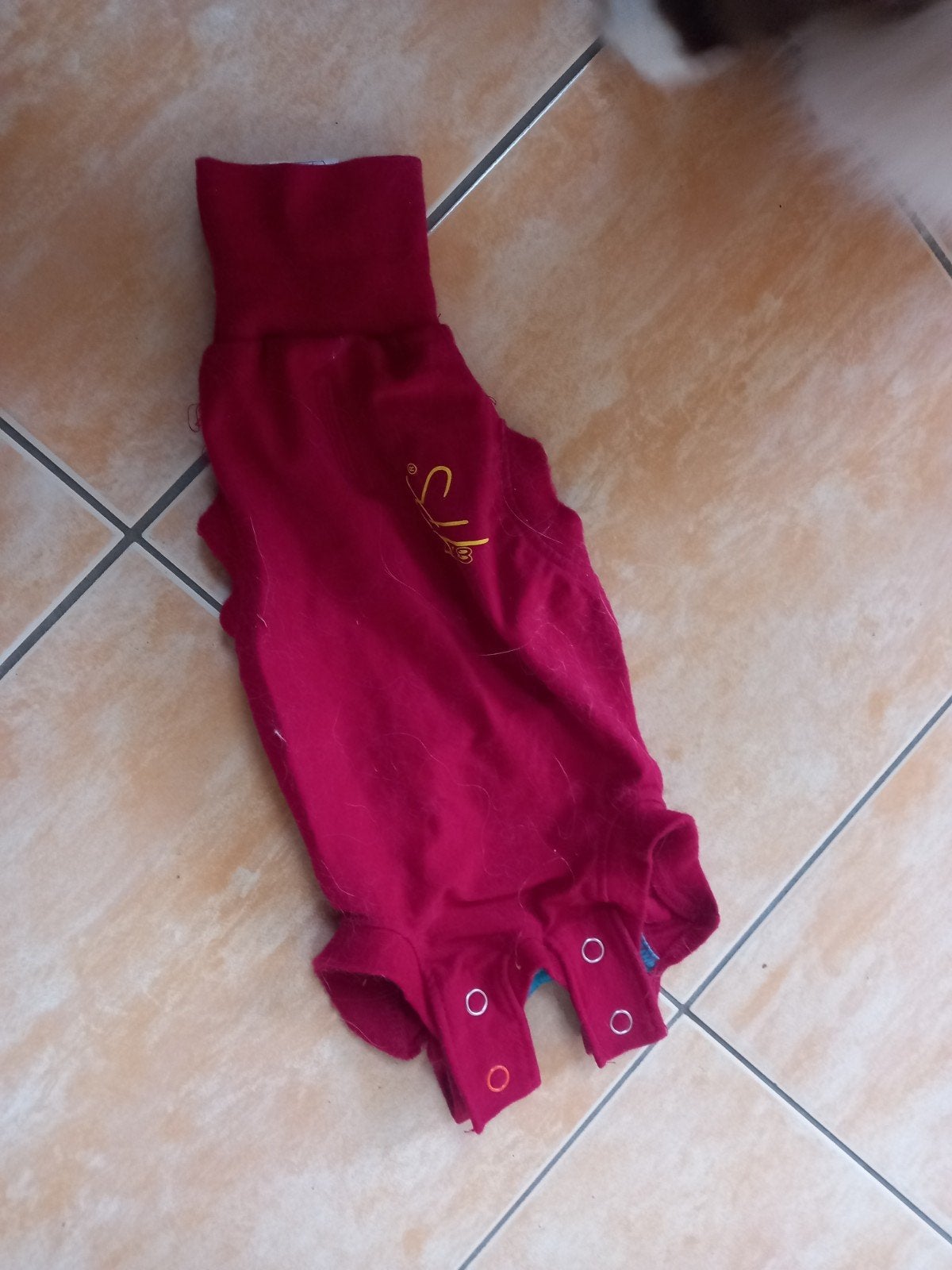 Medical Pet Shirt 3XS, Ophalen, Zo goed als nieuw