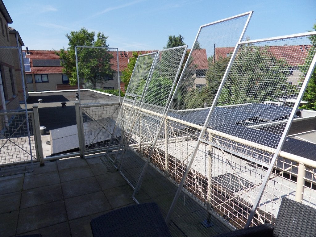 Dieren kattenren, Kat Hond, Kippen Alumium, Ophalen