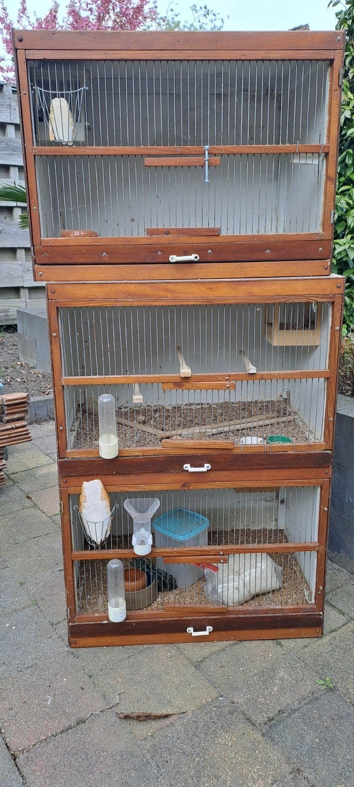 Vogel broed kooien, Dieren en Toebehoren, Vogels | Hokken en Kooien, Ophalen, Hout, Broedkooi of Kweekkooi
