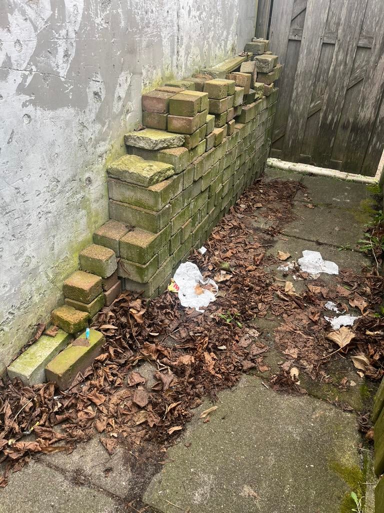 Gratis stenen ophalen, Dieren en Toebehoren, Meerdere dieren, Eend