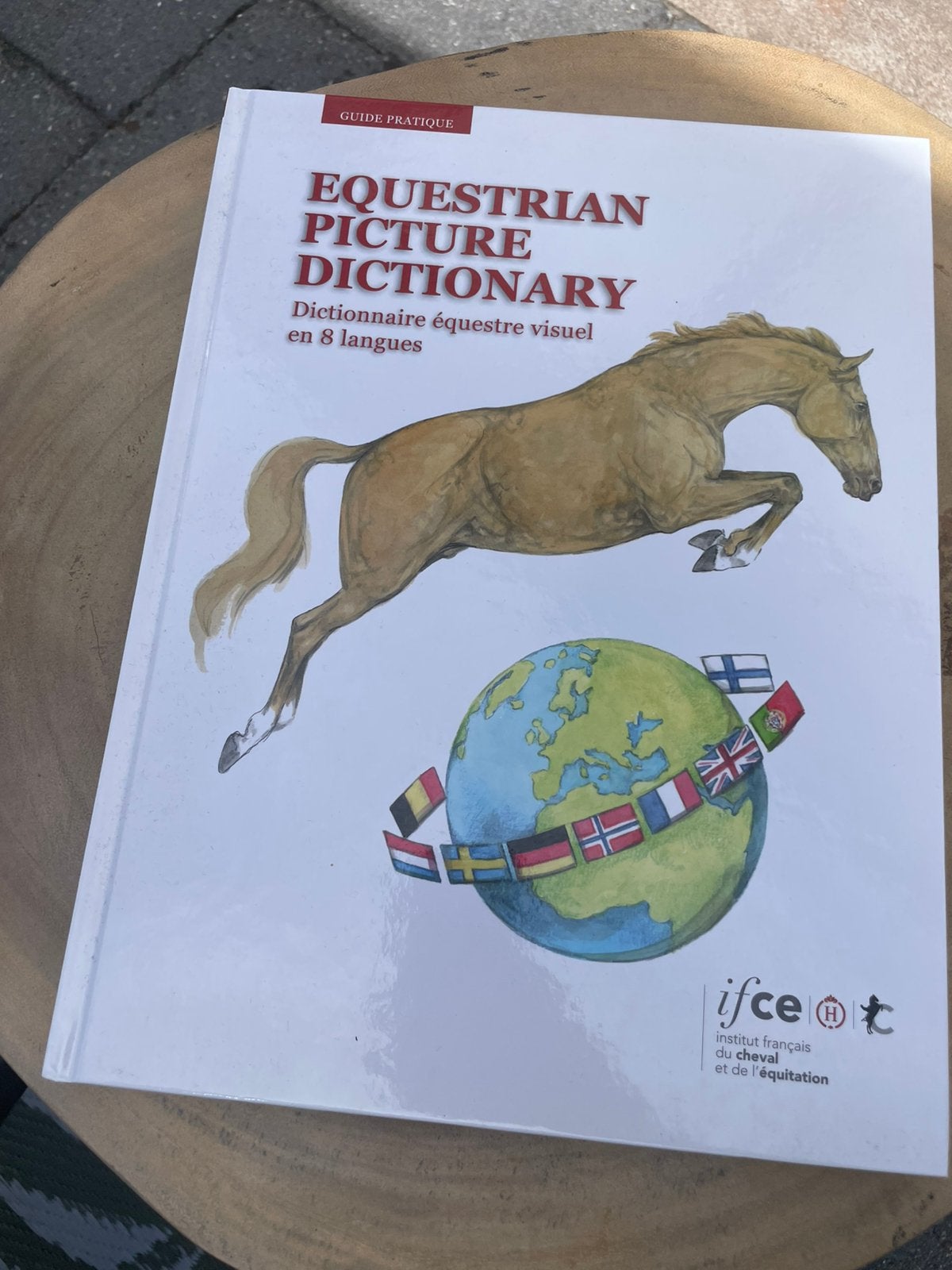 Schoolboeken paardensport en houderij niveau 4, Ophalen of Verzenden, Zo goed als nieuw, Overige niveaus, Nederlands