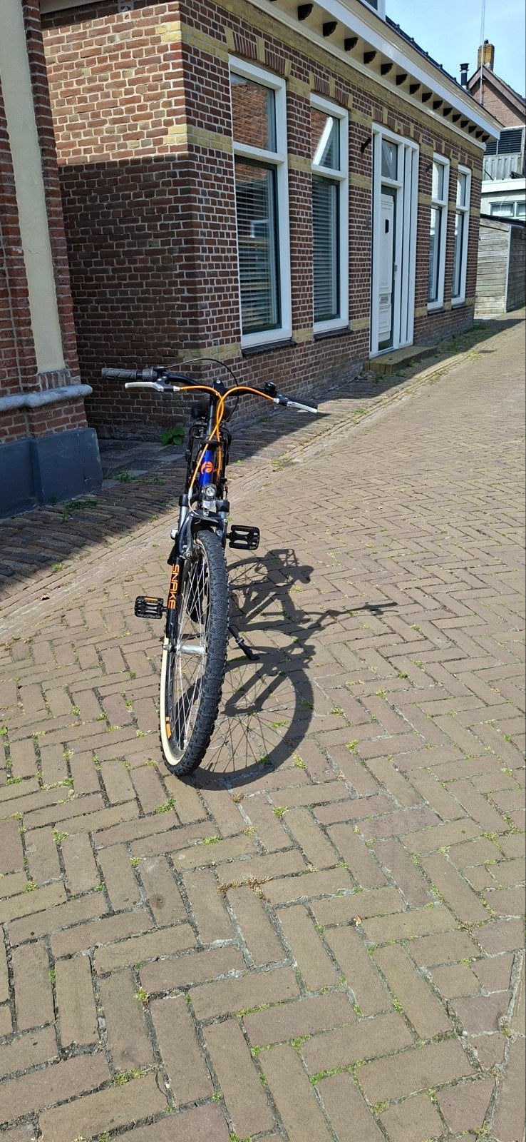 Batavus Snake, Ophalen, Gebruikt, Batavus Snake, Terugtraprem