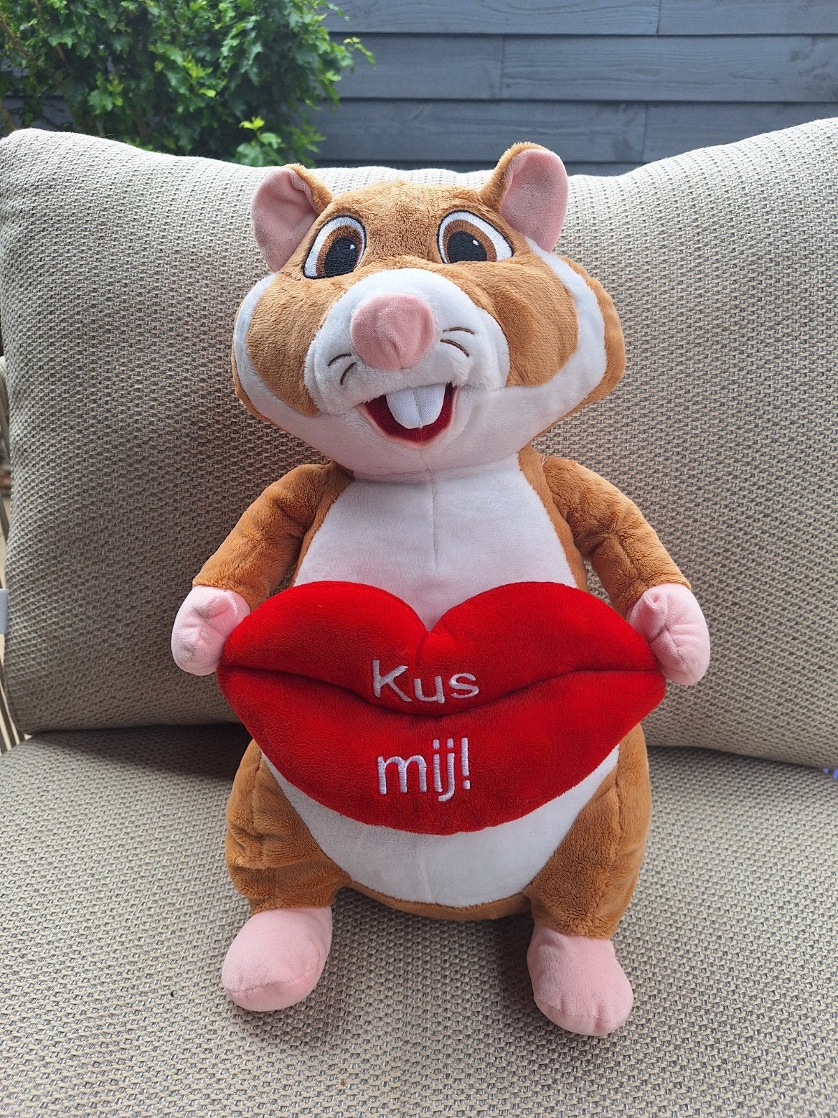 Leuke Hamster Knuffel met "Kus mij!" Hart, Kinderen en Baby's, Speelgoed | Knuffels en Pluche, Hamster, Ophalen of Verzenden, Middelgroot (20 tot 80 cm)
