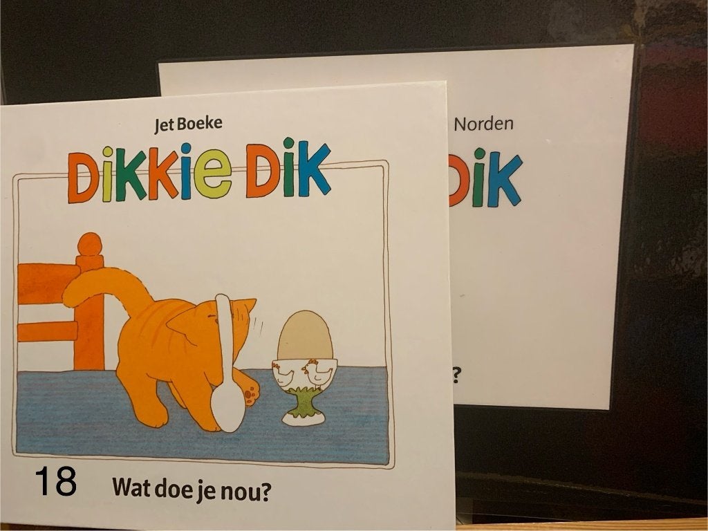 Dikkie Dik wat doe je nou? Kamishibai & boek, Ophalen, Zo goed als nieuw