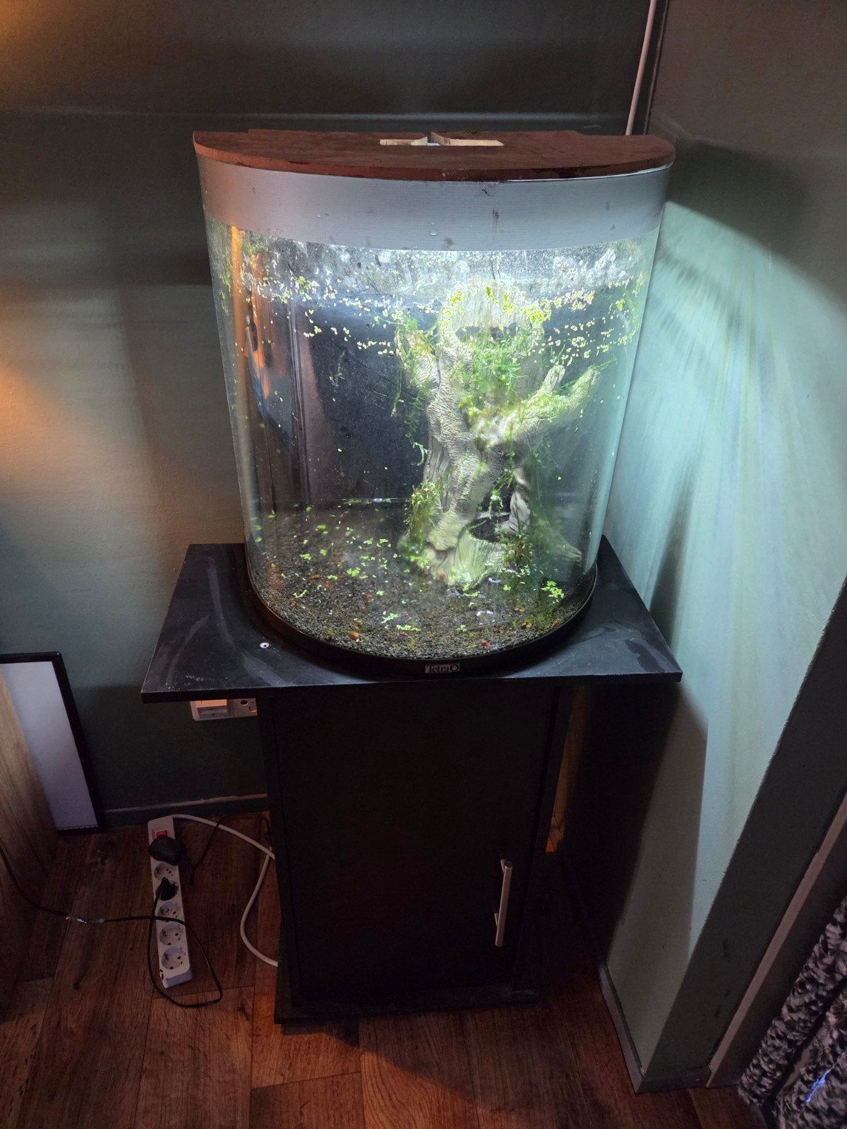 aquarium, Dieren en Toebehoren, Vissen | Aquaria en Toebehoren, Ophalen of Verzenden, Leeg aquarium