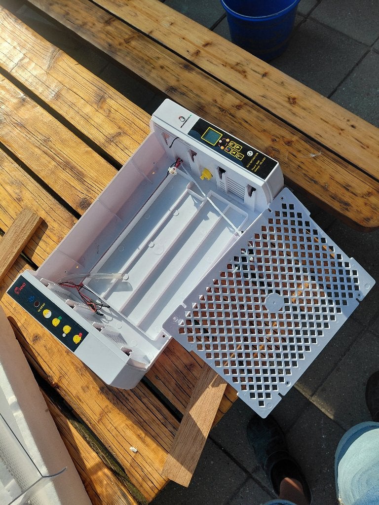 Broedmachine en warmhoudplaat, Geslacht onbekend, Kip