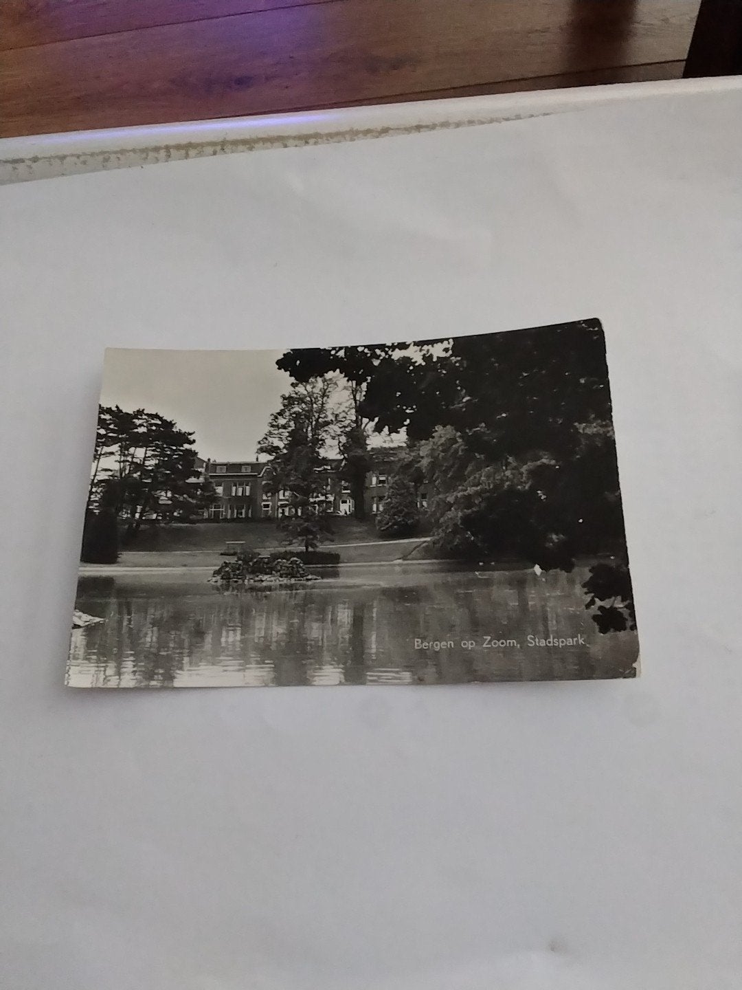 Oude ansichtkaart Bergen op Zoom, Stadspark, Ophalen of Verzenden, 1920 tot 1940, Gelopen, Noord-Brabant