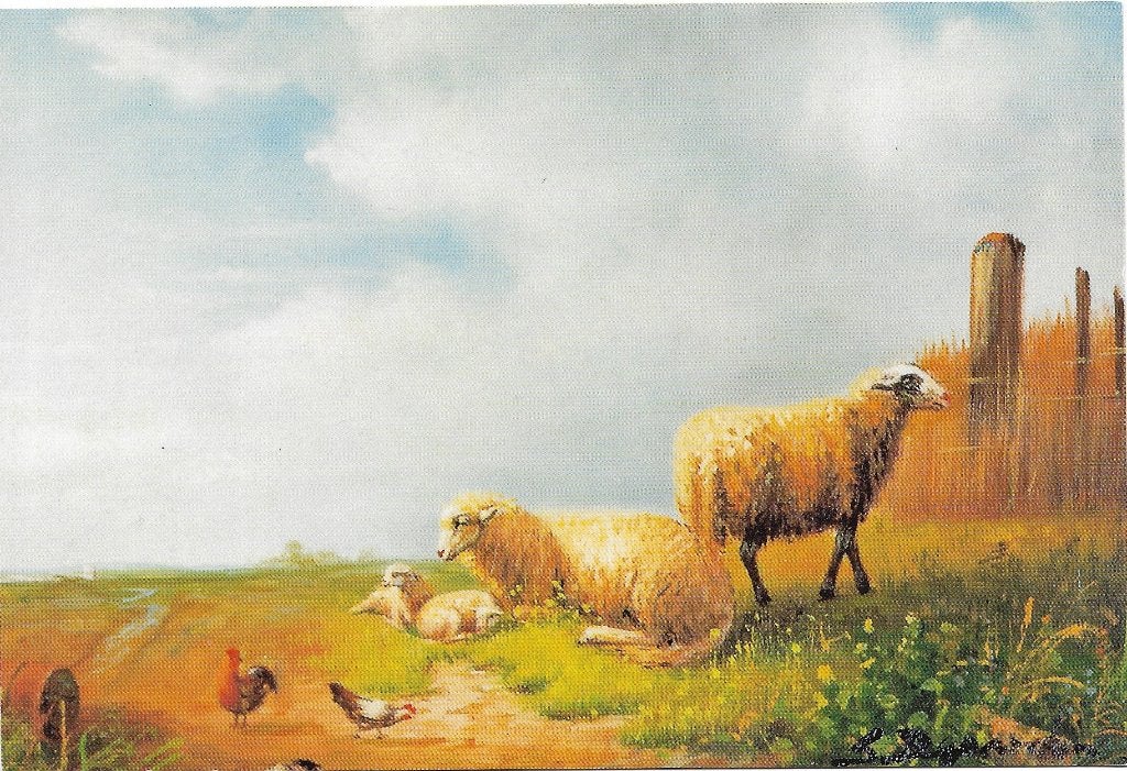 Ansichtkaart  	Schapen	en kippen, Verzenden, 1980 tot heden, Ongelopen, Overige soorten