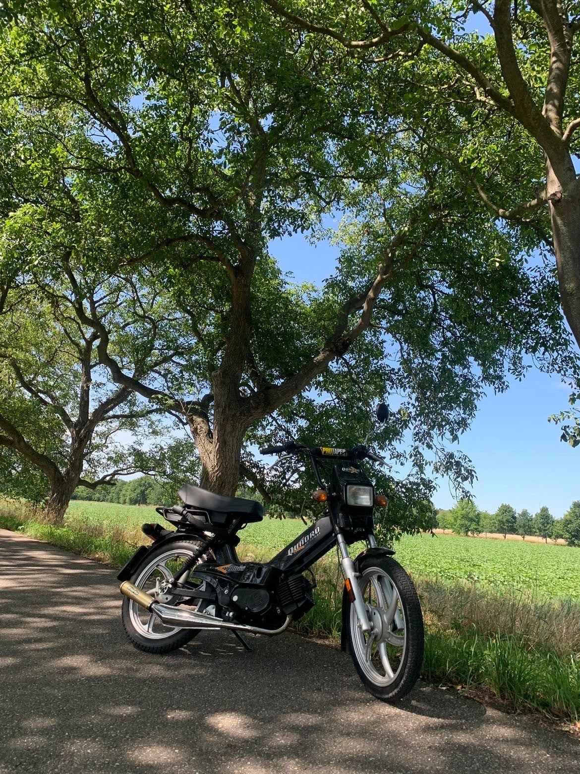 Tomos Quadro bromfiets - Goed onderhouden, Fietsen en Brommers, Brommers | Tomos, Ophalen, Gebruikt, Quadro