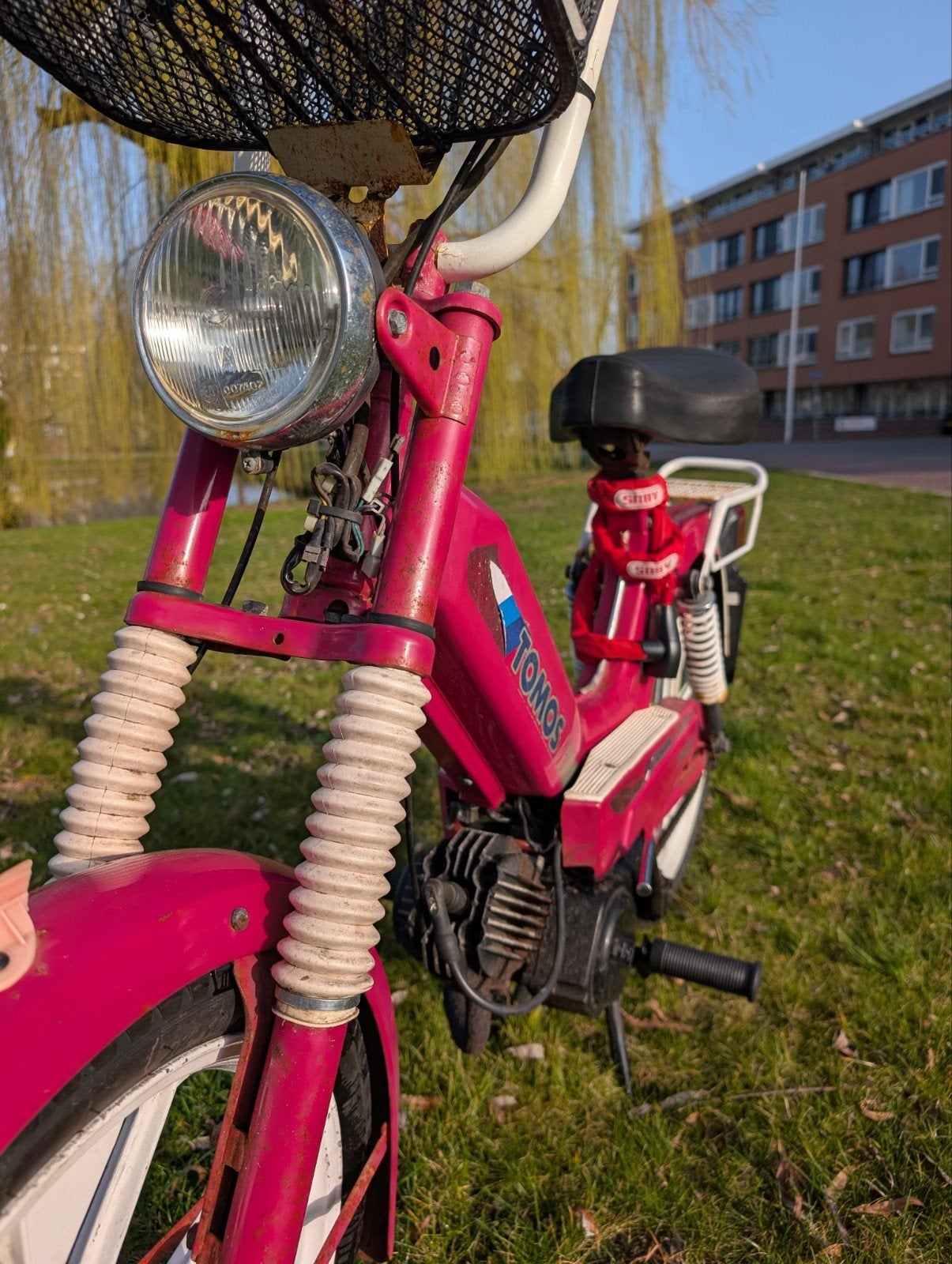 Paarse / Roze Tomos S25 - ook te ruilen voor PS5, Fietsen en Brommers, Ophalen, Gebruikt, Maximaal 25 km/u, Overige modellen