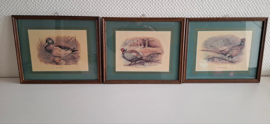 3  vintage  schilderiijtjes vogels, Minder dan 50 cm, Ophalen of Verzenden, Zo goed als nieuw, Schilderij