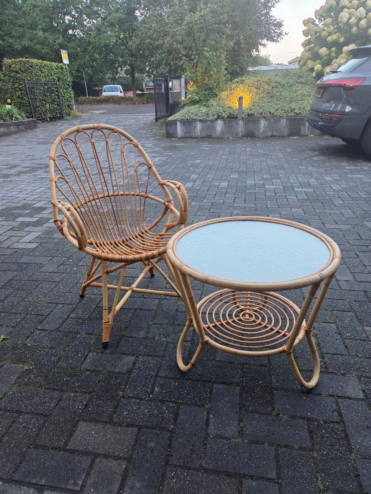 Vintage rotan stoel en salontafel set, Ophalen