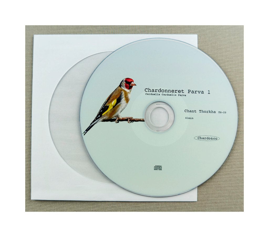 Putter zang : Parva, bloem putter, britannica en spaans, Mannelijk, Wildzangvogel, Geringd