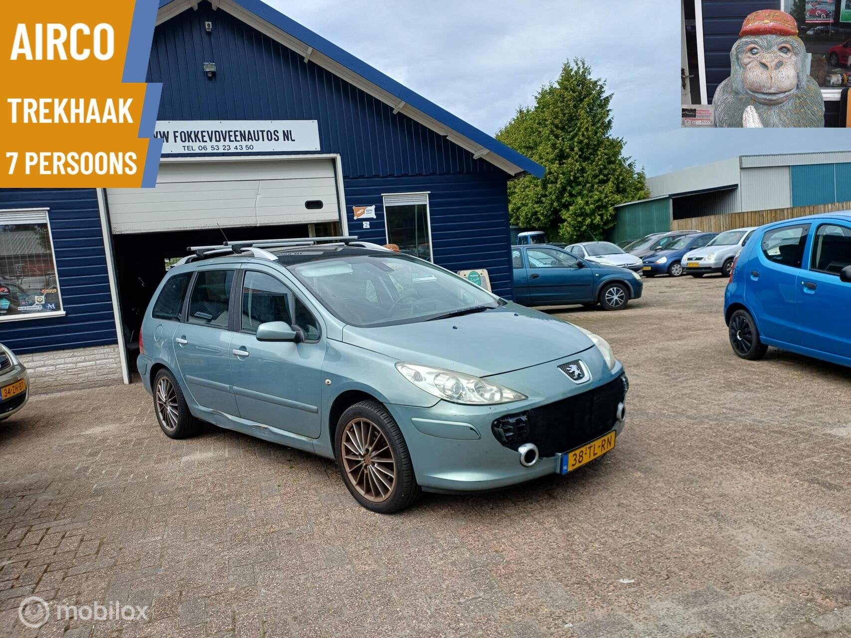 Peugeot 307 SW 2.0-16V 7 PERSOONS auto Alle inruil mogelijk, 730 kg, Gebruikt, 4 cilinders, 7 stoelen