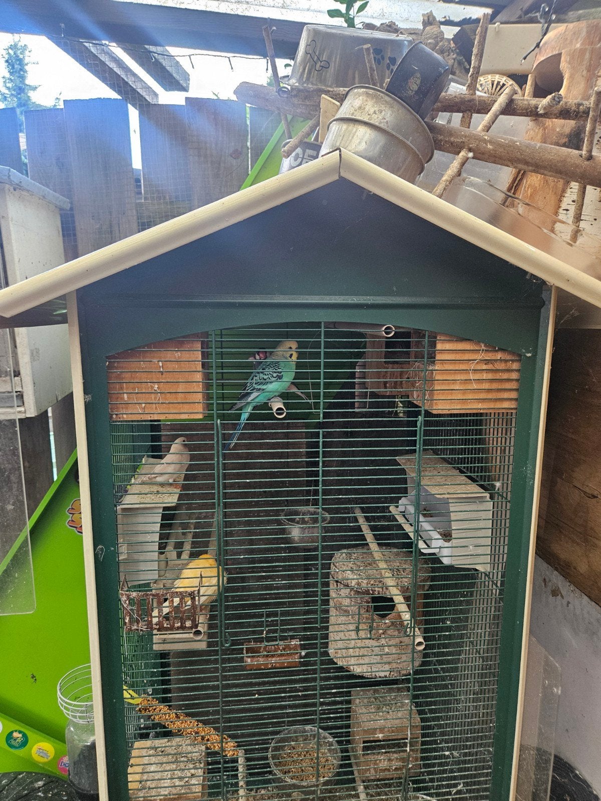 buiten of binnen kooi met vogels en toebehoren, Dieren en Toebehoren, Vogels | Overige Vogels, Meerdere dieren