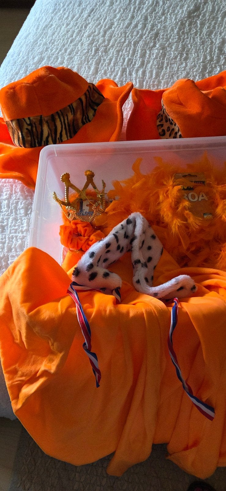 Oranje Feestpakket: Boa, Kroontje, Crunches, Oorbellen, Sjer, Ophalen of Verzenden