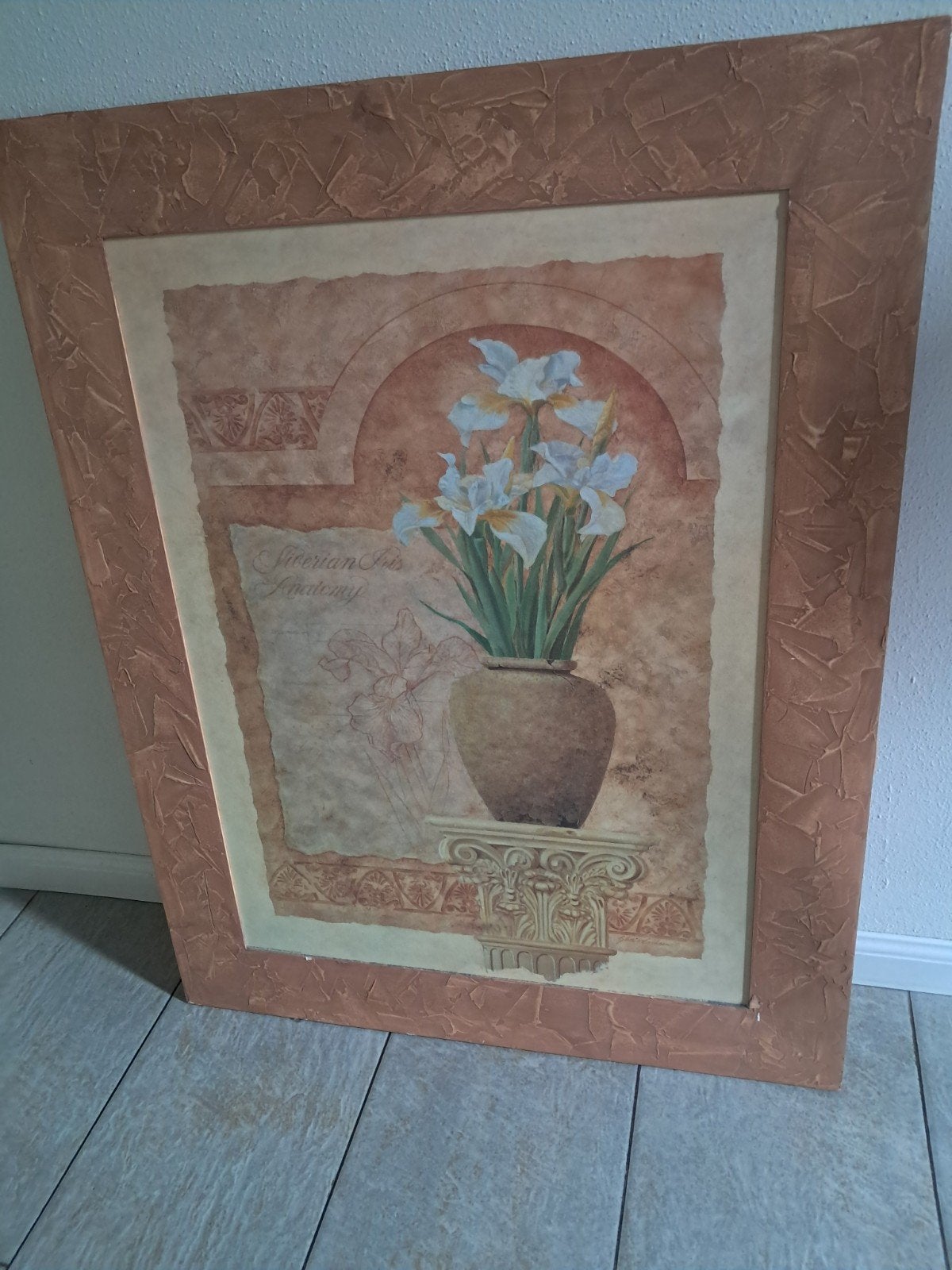 Siberian Iris Anatomy - Ingelijste Print, Antiek en Kunst, Bloemen, Ophalen of Verzenden, Klassiek, Print