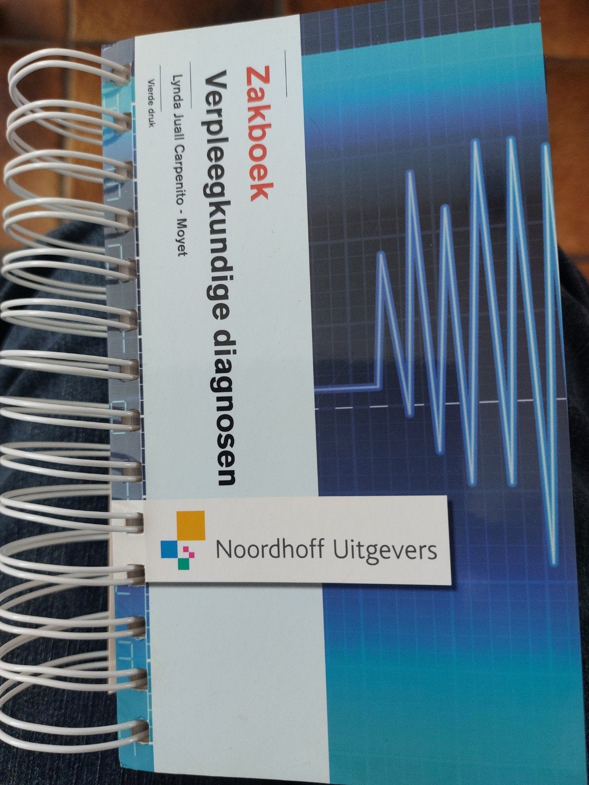 Zakboek verpleegkundige diagnosen - Lynda Juall Carpenito, Boeken, Ophalen, HBO, Zo goed als nieuw, Gamma