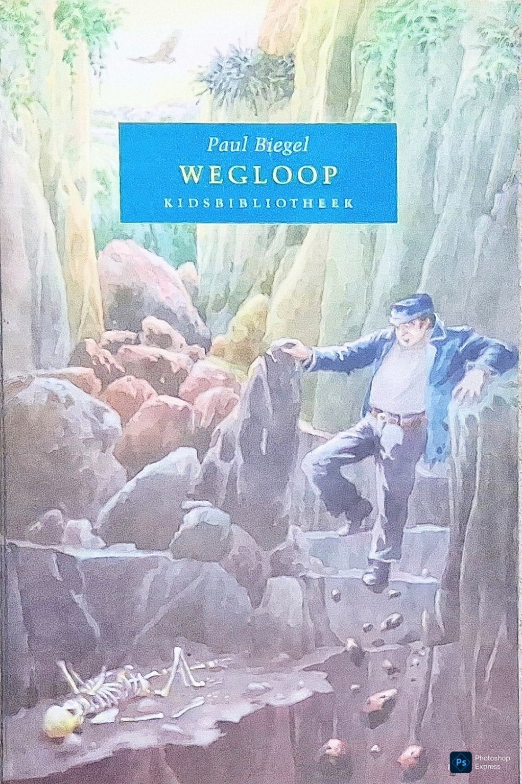 Wegloop, Gelezen, Ophalen of Verzenden, Fictie, Paul Biegel.