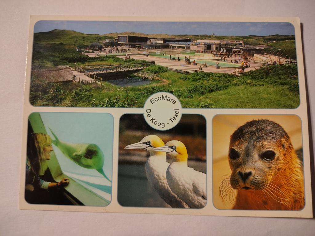 Texel, Ophalen of Verzenden, 1940 tot 1960, Waddeneilanden