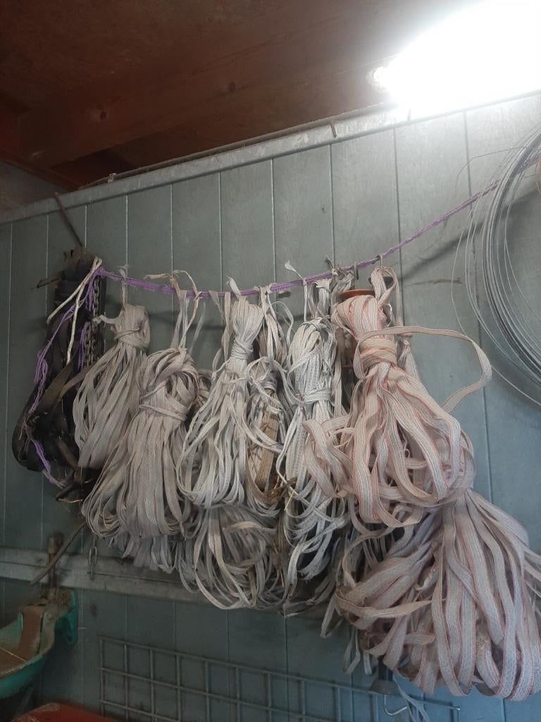 Afzet lint weide, Dieren en Toebehoren, Stalling en Weidegang