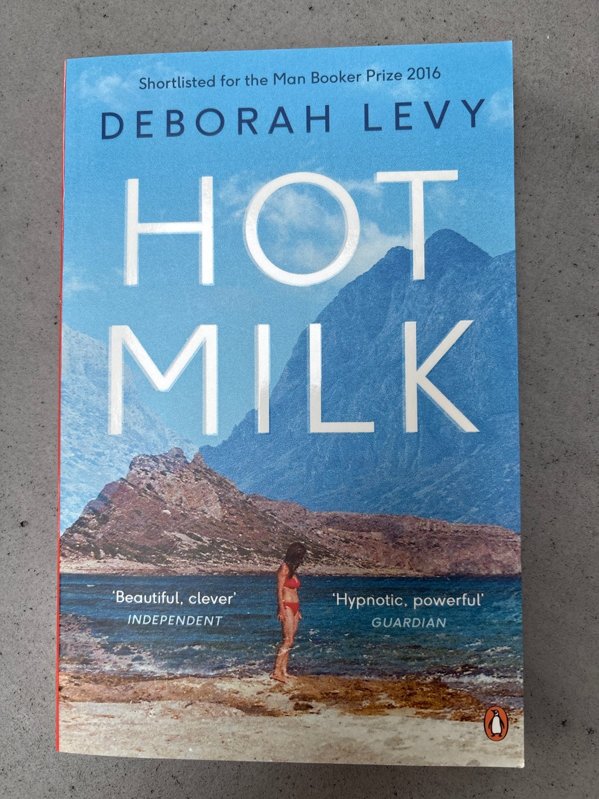 Hot Milk - Deborah Levy (Man Booker Prize 2016), Ophalen of Verzenden, Zo goed als nieuw, Europa overig