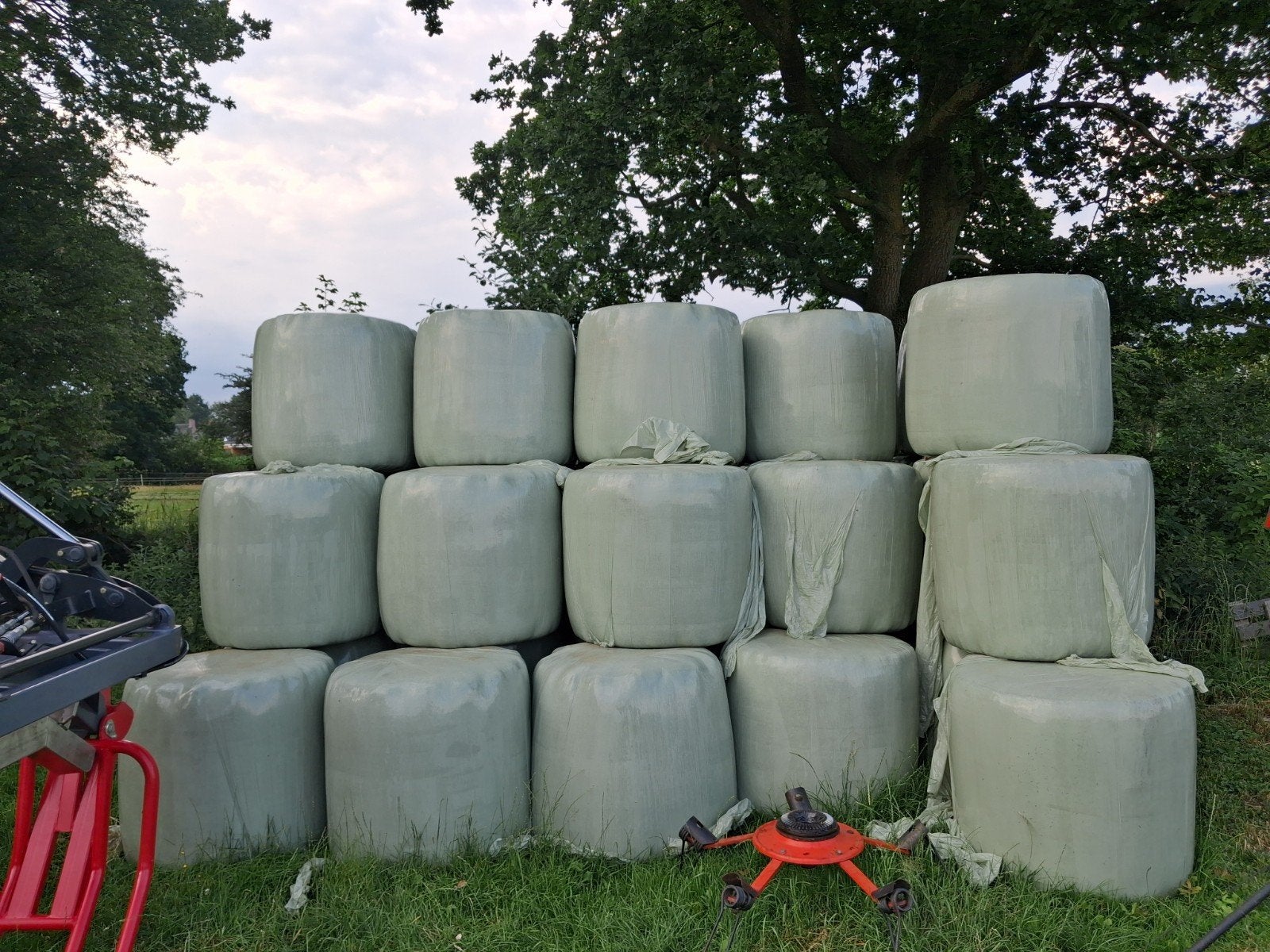Midi balen, Dieren en Toebehoren, Ophalen, Vee