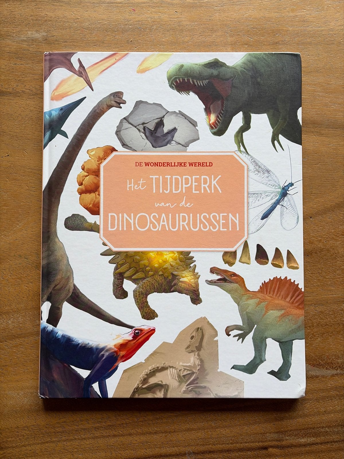 De wondere wereld, Boeken, Kinderboeken | Jeugd | onder 10 jaar, Ophalen, Zo goed als nieuw, Non-fictie