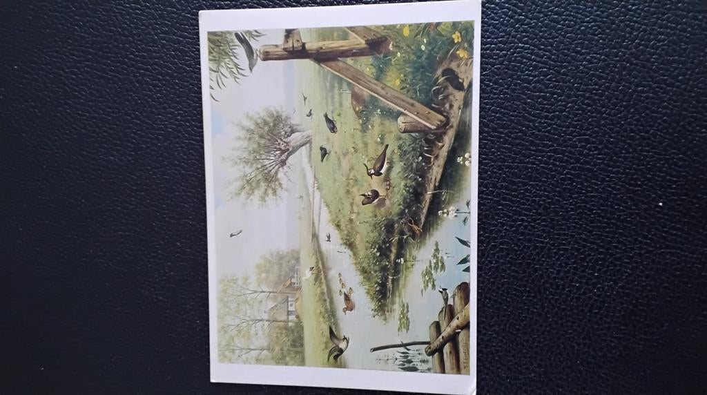In de weide, Ophalen of Verzenden