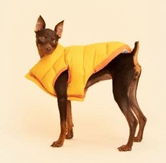Little Beast Het Super Duper Omkeerbare Parka Vest - Oranje, Overige merken, XS, Ophalen of Verzenden, Zo goed als nieuw