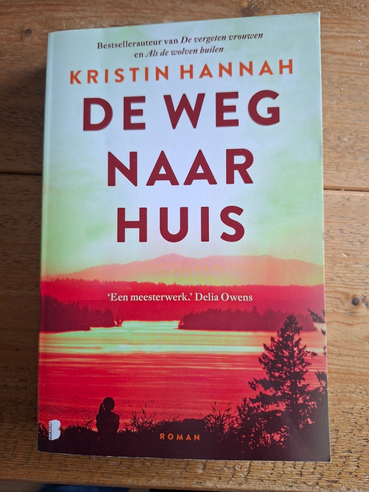 kristin hannah de weg naar huis, Ophalen of Verzenden, Zo goed als nieuw