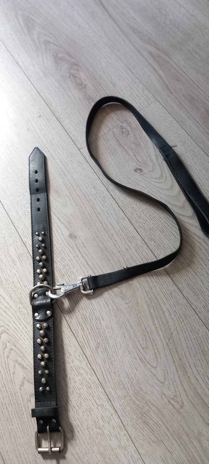 Leren hondenriem met halsband, Ophalen of Verzenden