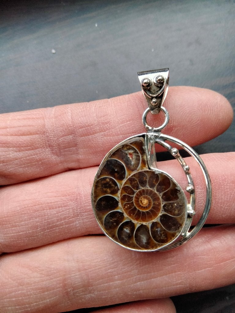 Ammoniet kettinghanger, Verzenden, Nieuw, Zilver, Zilver