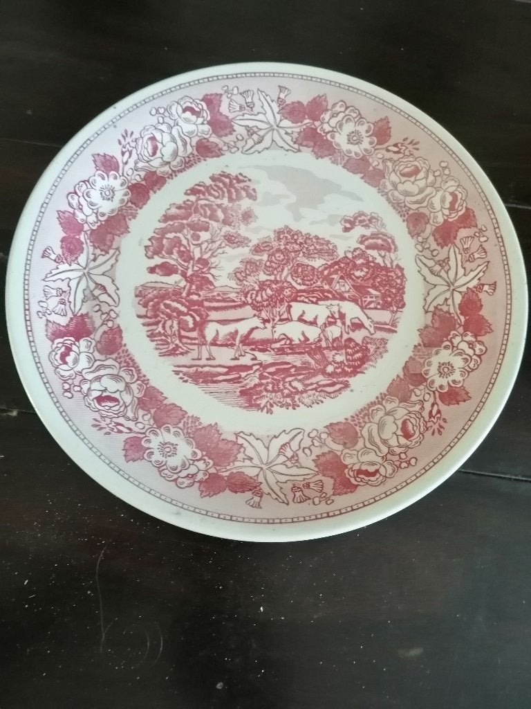 Een leuke wandbord Swiss Landschap, 29,5cm,Italy, Antiek en Kunst, Ophalen of Verzenden