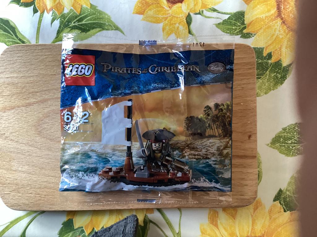 Lego polly bag set nummer 30131, Kinderen en Baby's, Speelgoed | Duplo en Lego, Overige thema's, Lego, Nieuw, Ophalen of Verzenden